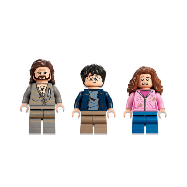 LEGO 76401: Hogwarts™ Courtyard: Sirius’s Rescue